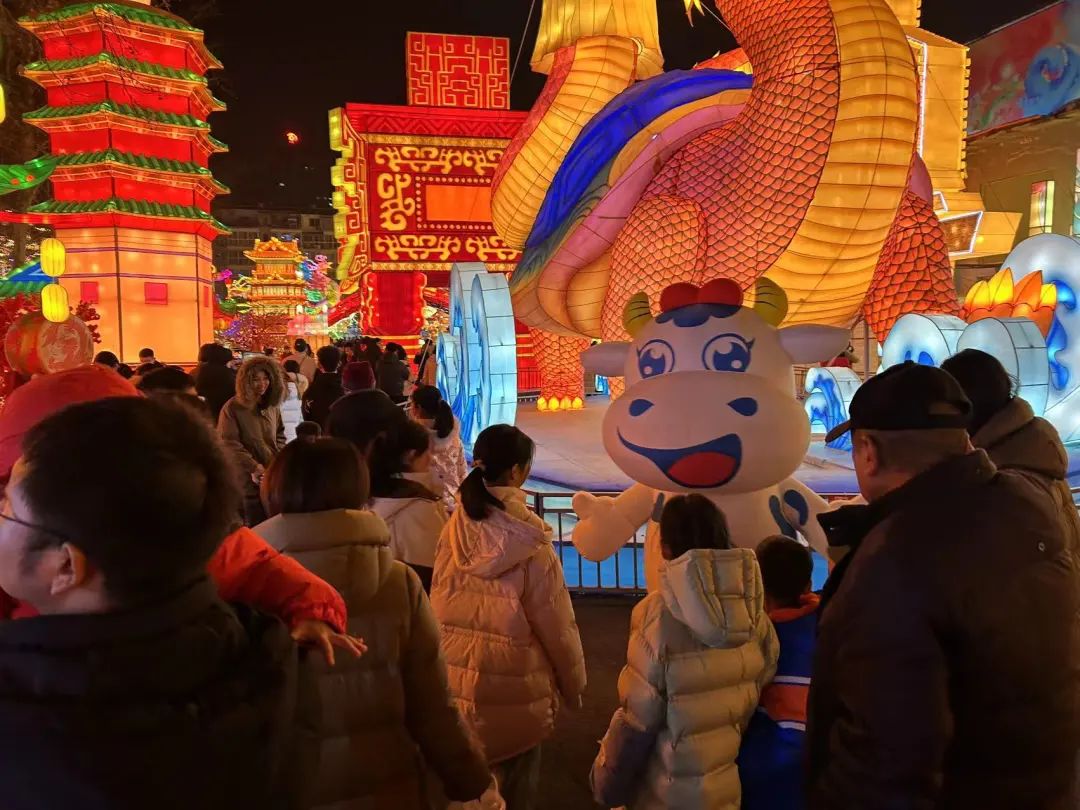 央視直播鄭州龍年燈會迎新春，花花牛品牌上大分