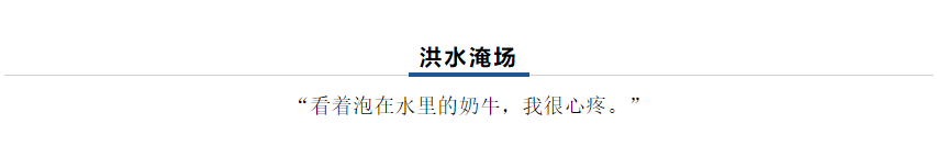 【乳報(bào)·聚焦】“豫”難而上的中原牛人“太中了”！