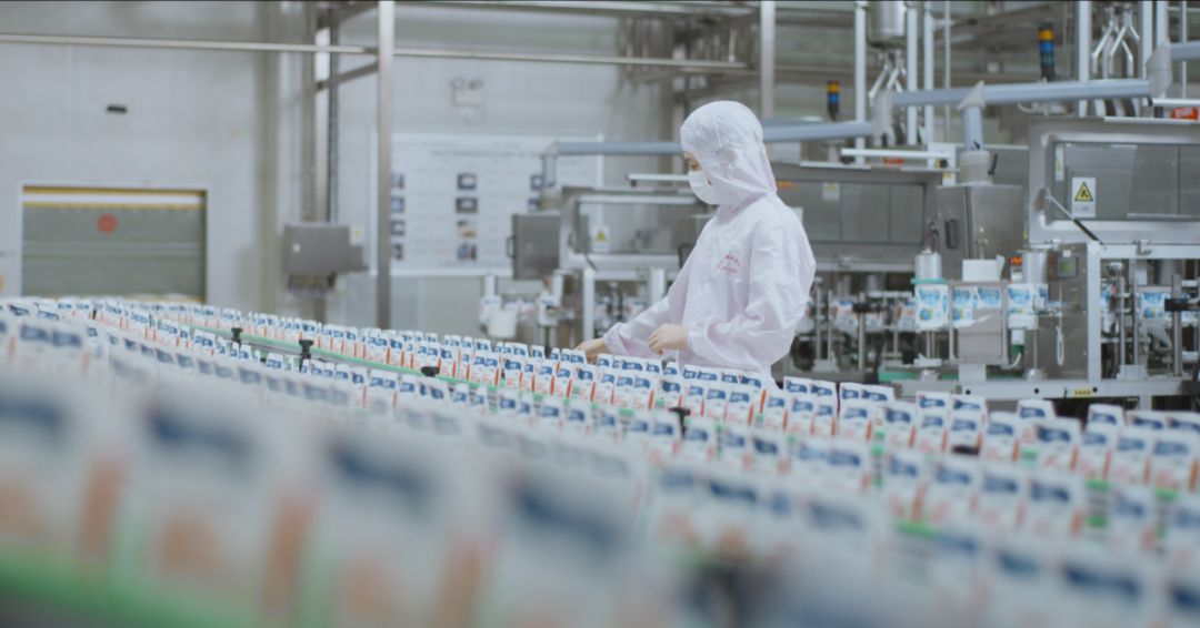 快訊 | 河南省人民政府食品安全委員會辦公室第三批食品安全示范區(qū)驗收組領(lǐng)導蒞臨花花牛乳業(yè)集團驗收食品安全示范區(qū)建設(shè)情況