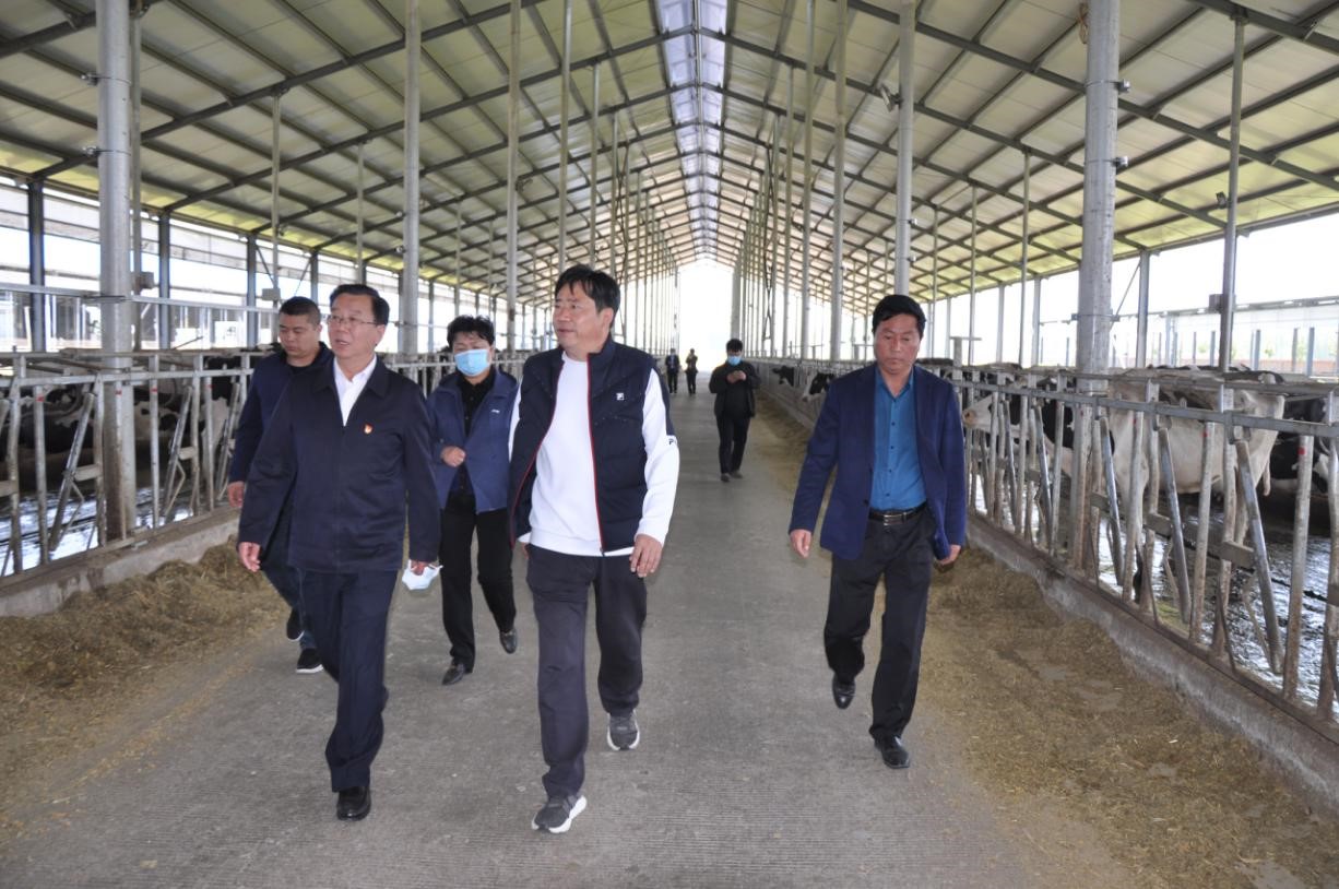 商丘市委常委、宣傳部部長王全周一行蒞臨睢縣瑞亞牧業(yè)有限公司調(diào)研