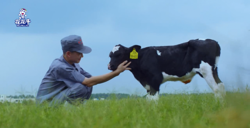中國動物衛(wèi)生流調(diào)中心首席科學(xué)家范偉興一行蒞臨花花牛郟縣發(fā)展、魯山瑞亞參觀調(diào)研