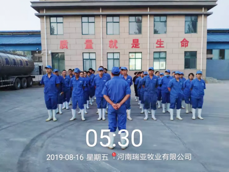 小晨會(huì)·大能量——砥礪奮進(jìn)的花花牛，加油！